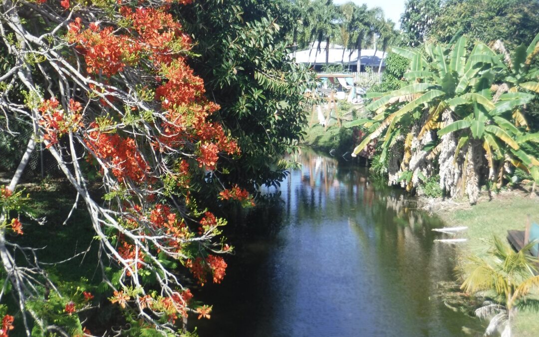 Unique waterway.